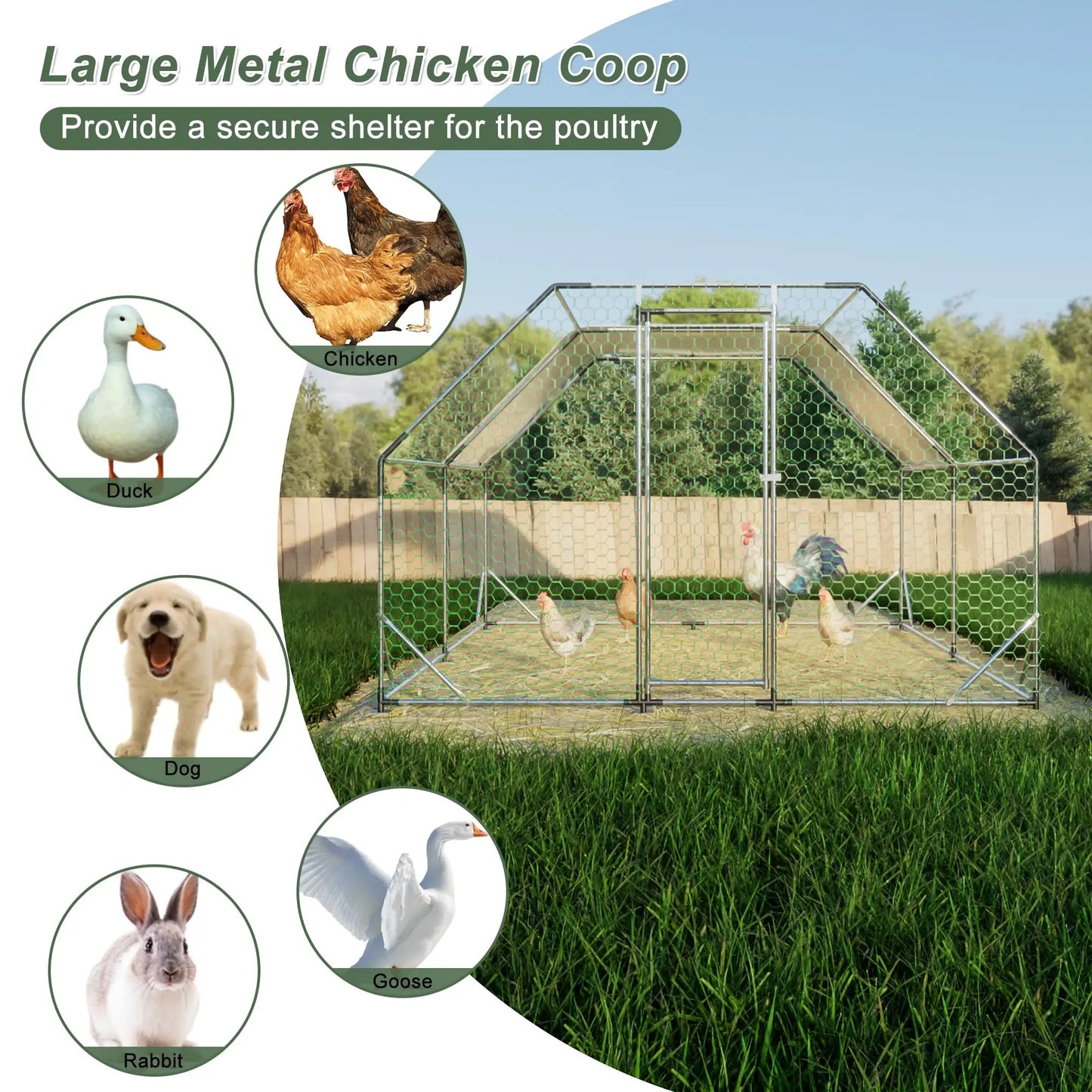 Metal Chicken Coop Walk In Poultry Cage With Lockable Door