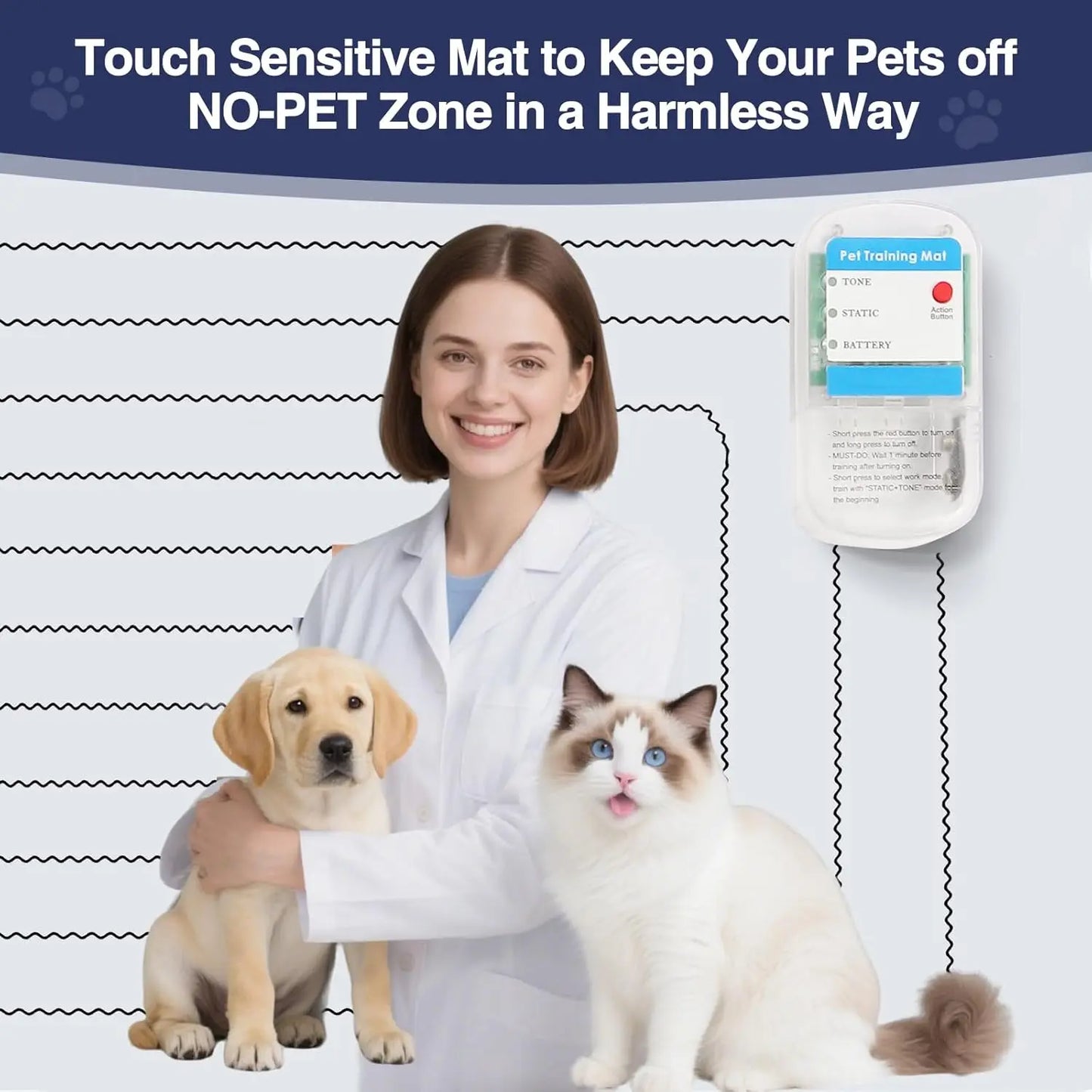 Electric Pet Training Mat for Dogs and Cats 3 Modes