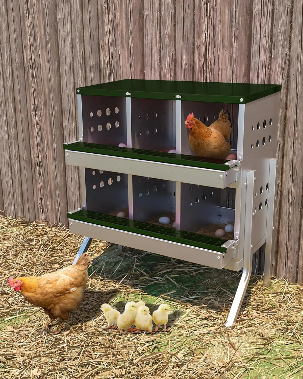 TWISTER.CK Metal Chicken Coop Nesting Box Multi Compartment Ventilated