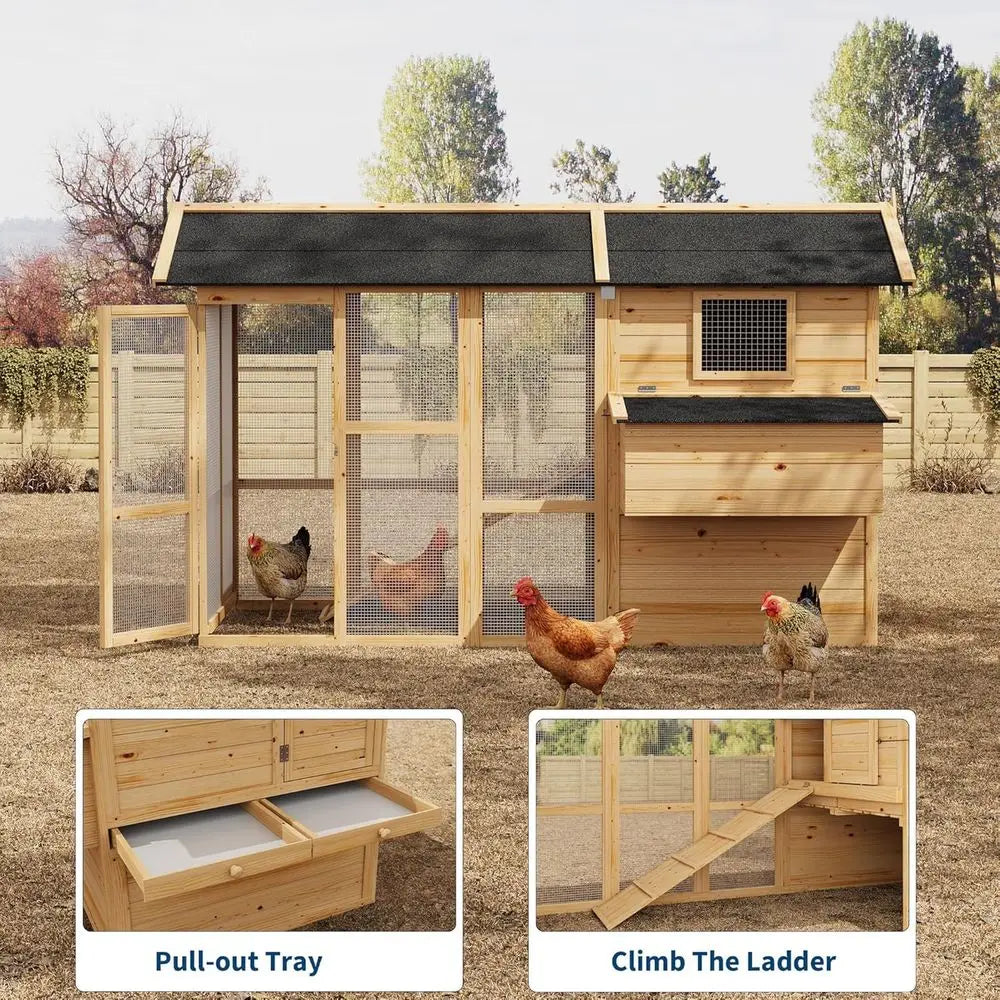 Wooden Outdoor Chicken Coop For Four To Six Chickens Nesting