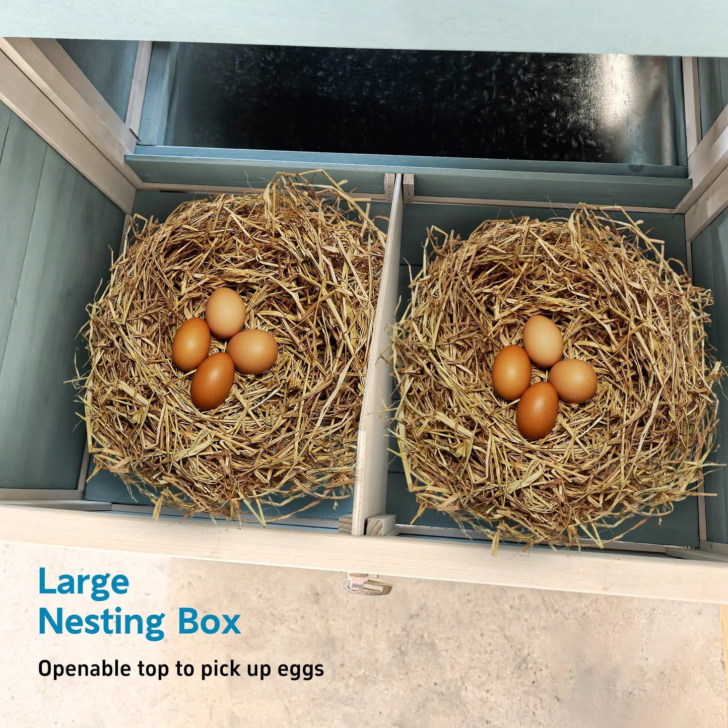 Chicken Coop Hen House With Nesting Box Free Range Door
