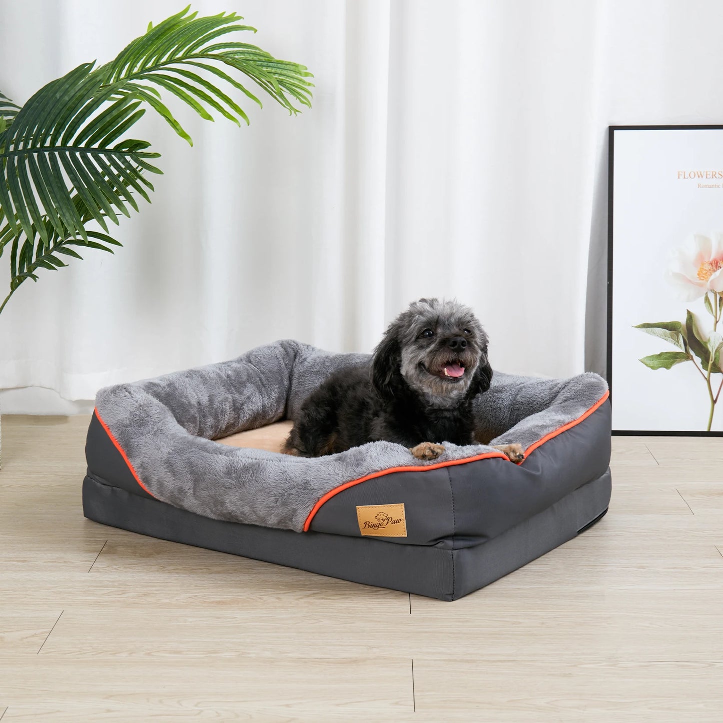 BINGOPAWCN Super Soft Orthopedic Foam Dog Bed With Removable Cover