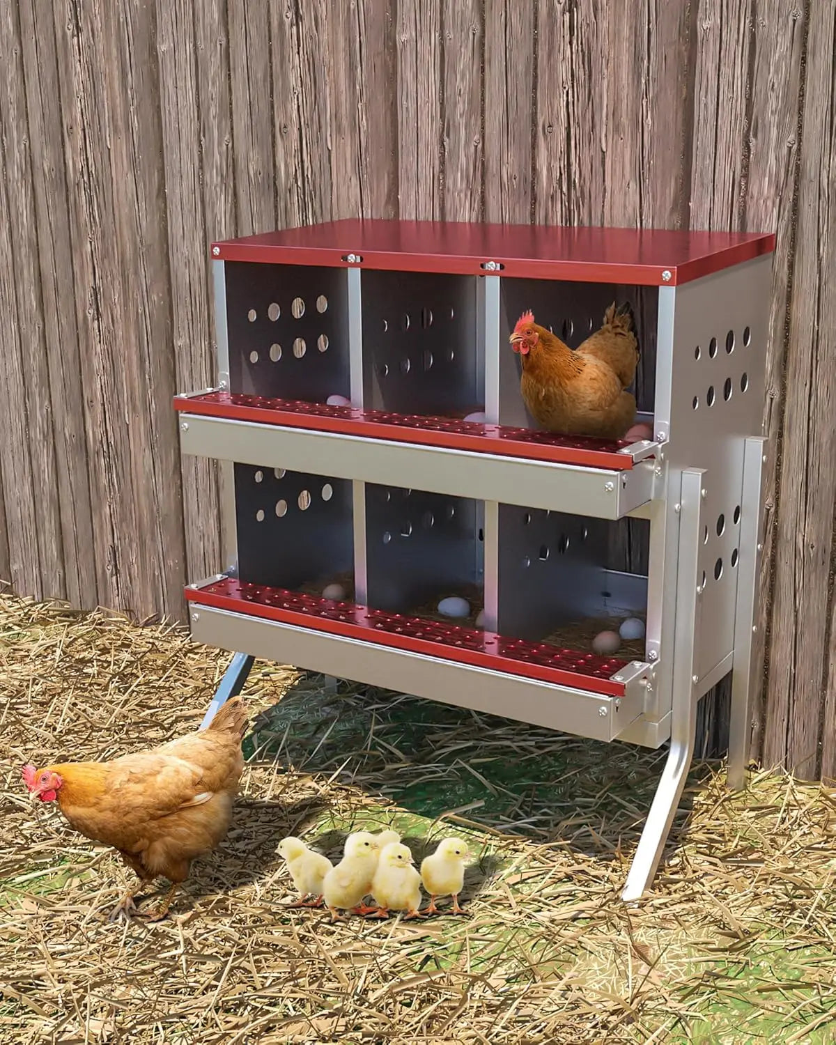 TWISTER.CK Metal Chicken Coop Nesting Box Multi Compartment Ventilated
