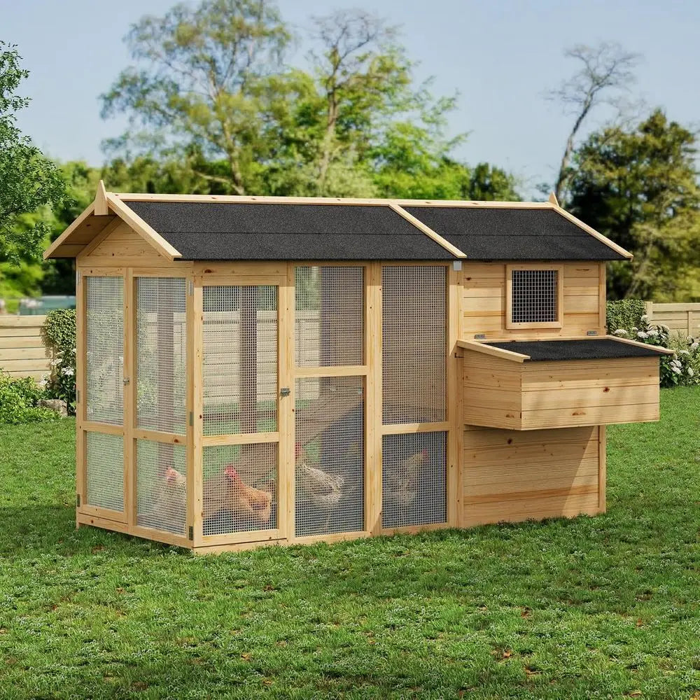 Wooden Outdoor Chicken Coop For Four To Six Chickens Nesting