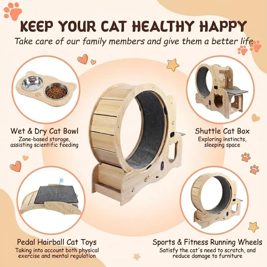 6-in-1 Cat Wheel Treadmill With Built-In House Bowl Scratching