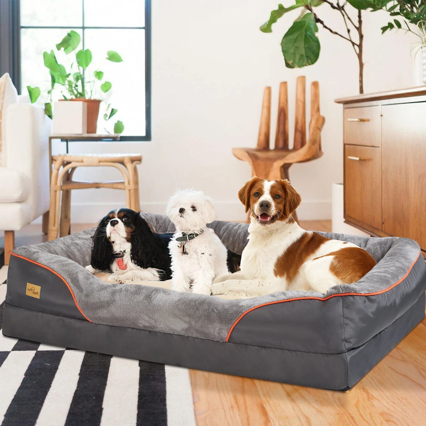 BINGOPAWCN Super Soft Orthopedic Foam Dog Bed With Removable Cover