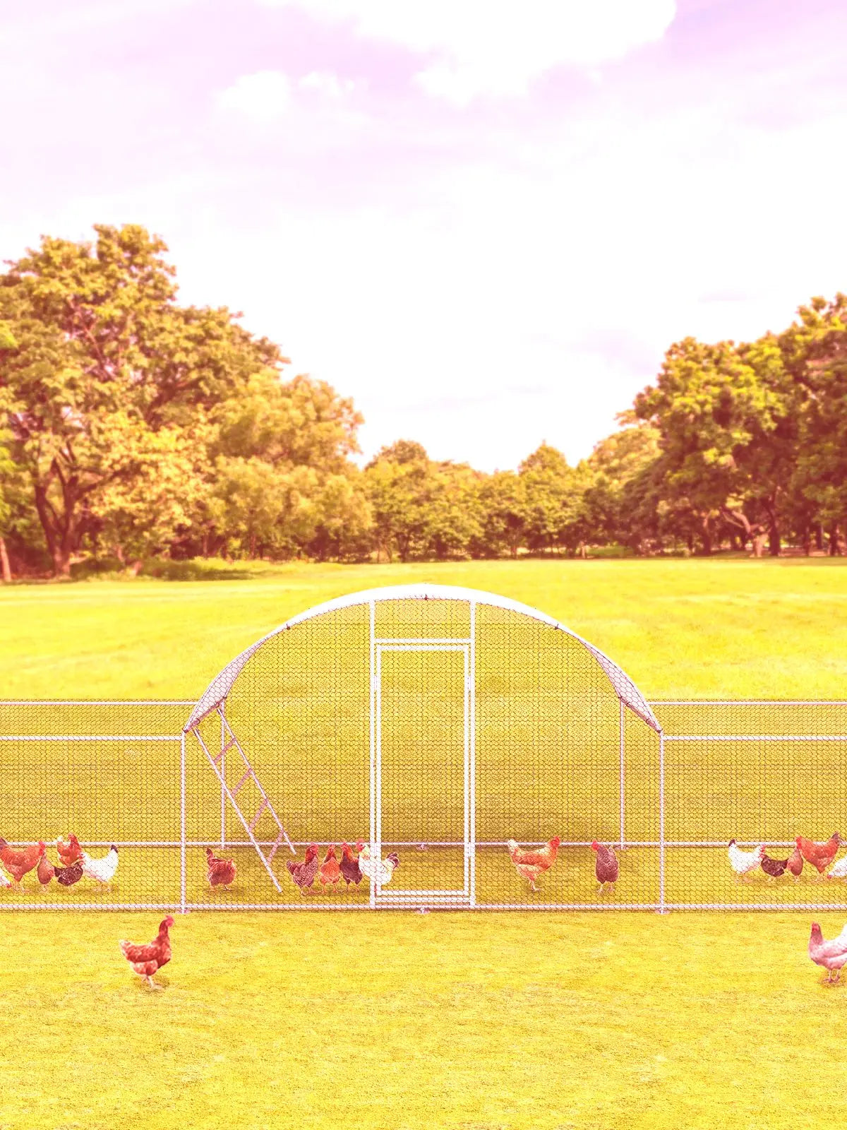 Galvanized Metal Chicken Coop With Dome Roof Walk In Pen