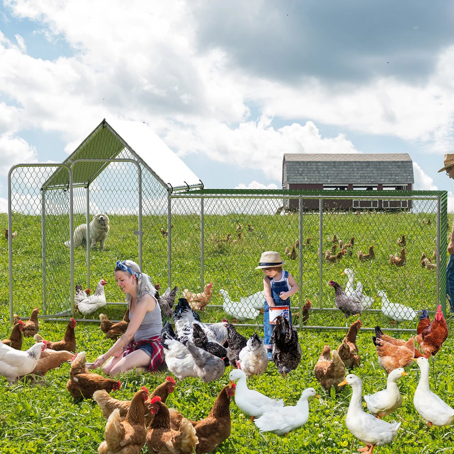 HiMISSH Flat Style Poultry Cage With Waterproof Cover Walk In Metal Chicken Coop