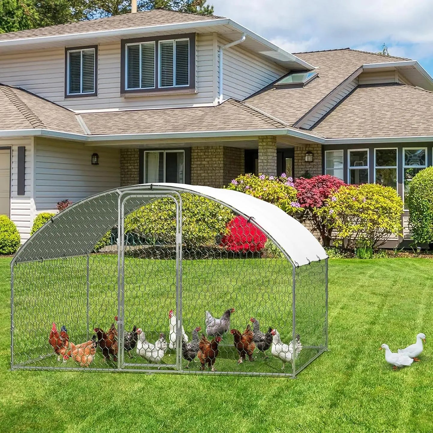 HiMISSFarm Metal Chicken Coop Walk In Poultry Cage Outdoor