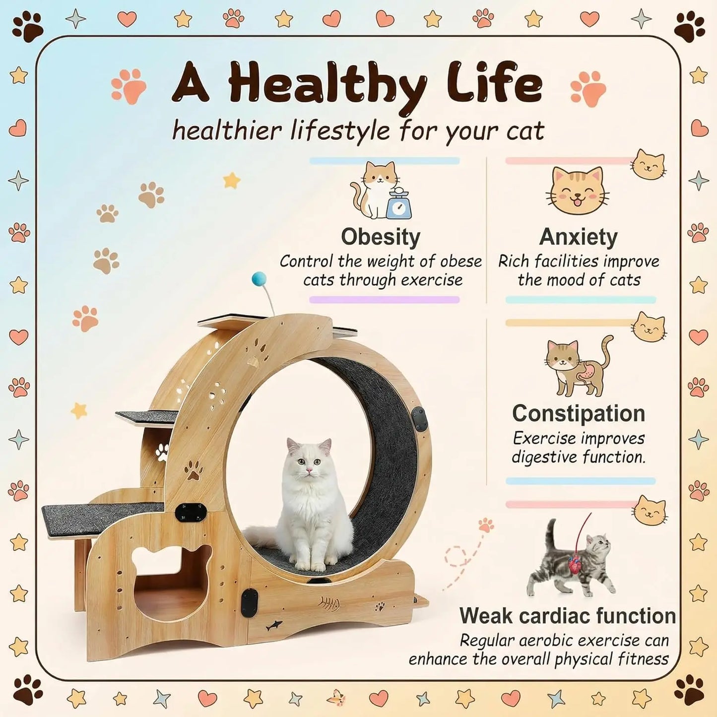 6-in-1 Cat Wheel Treadmill With Built-In House Bowl Scratching