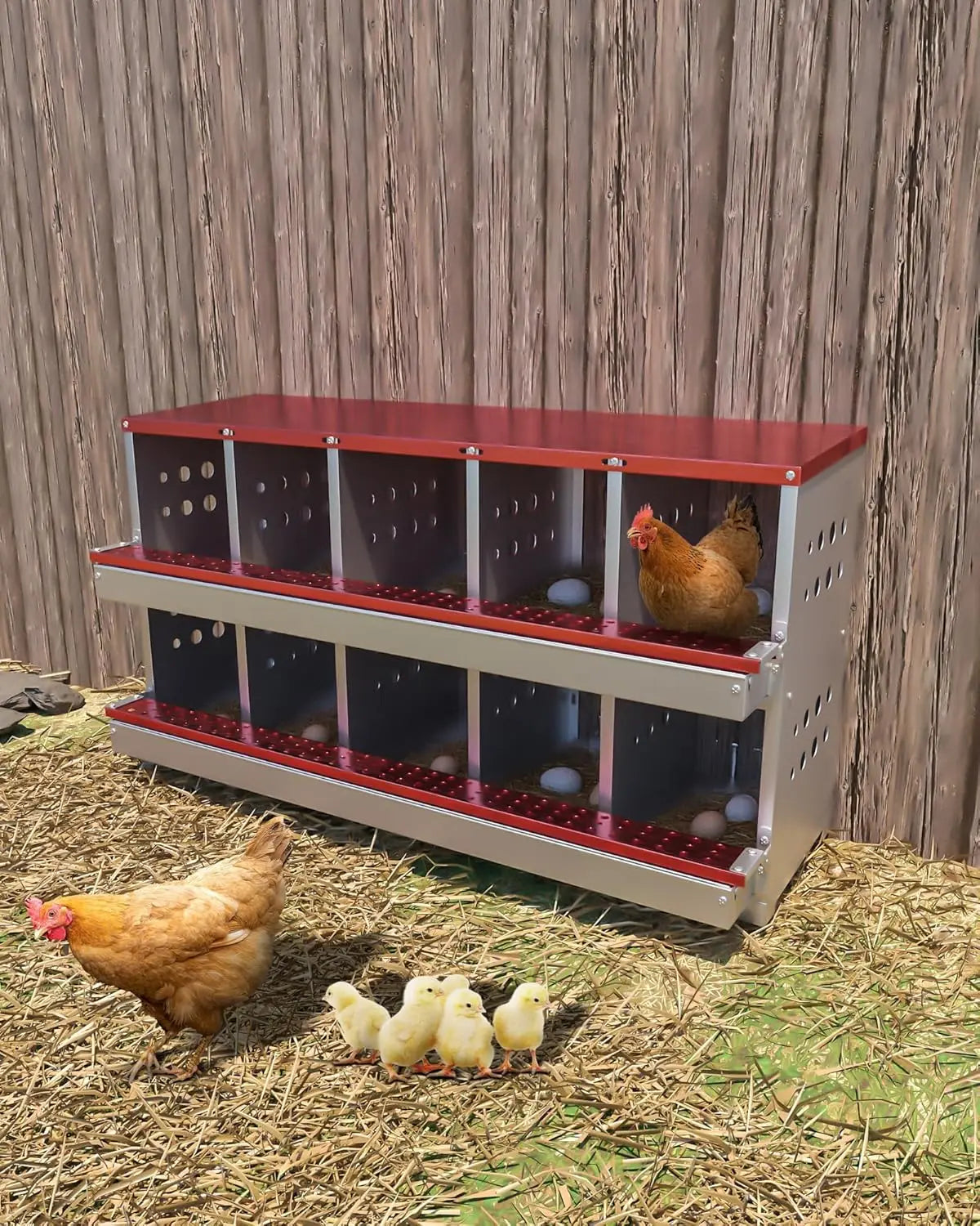 TWISTER.CK Metal Chicken Coop Nesting Box Multi Compartment Ventilated