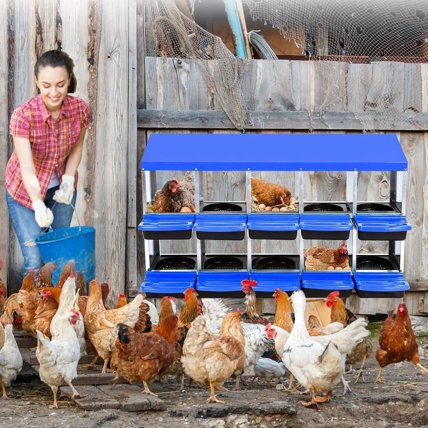 HiMISS 10 Compartment Chicken Nesting Box With Egg Collection